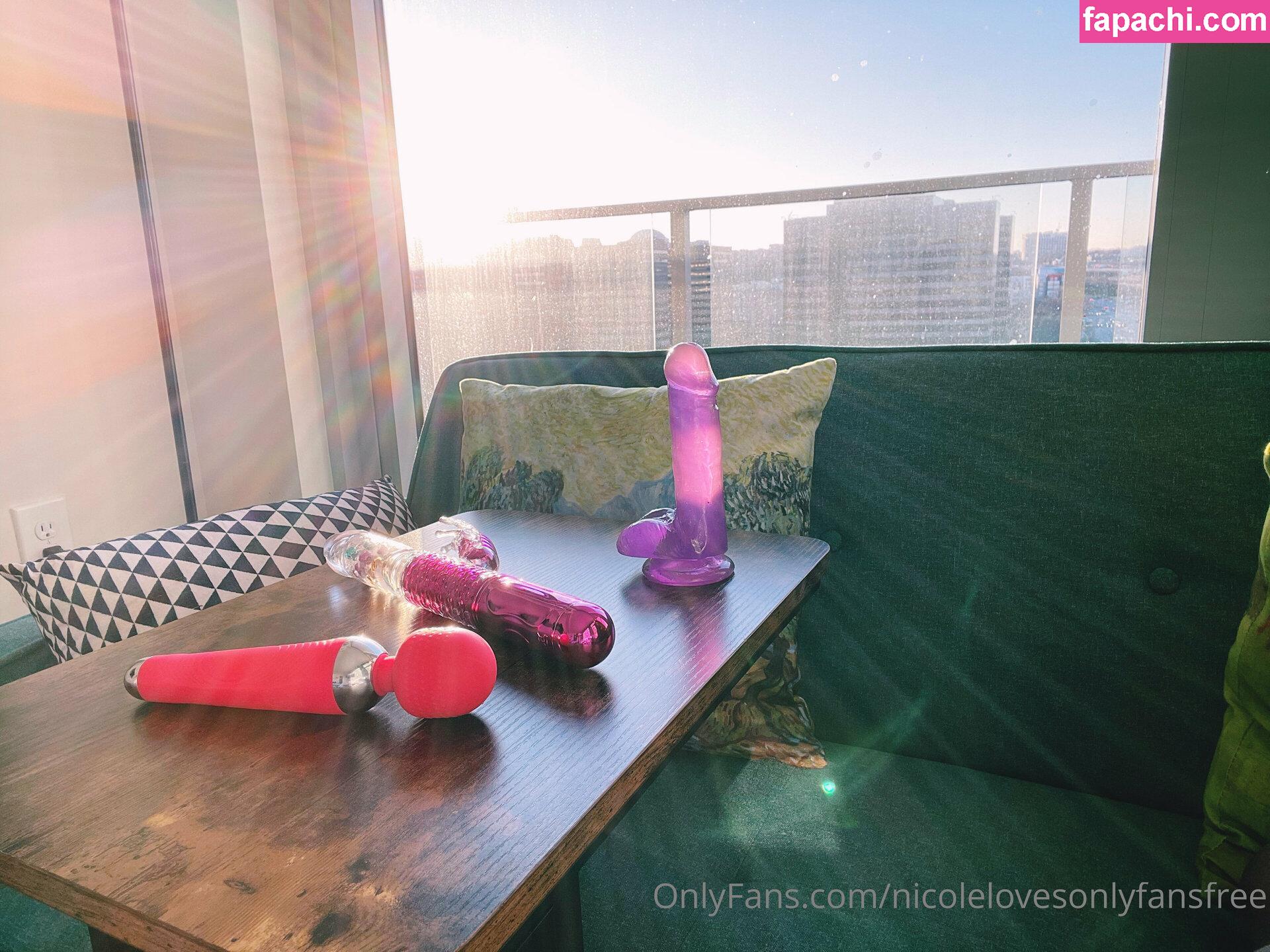 nicolelovesonlyfansfree / nicolelovesfashion leaked nude photo #0021 from OnlyFans/Patreon
