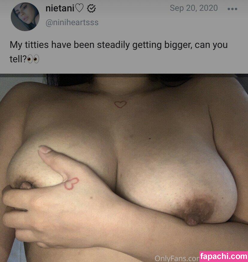 niniheartsss leaked nude photo #0008 from OnlyFans/Patreon