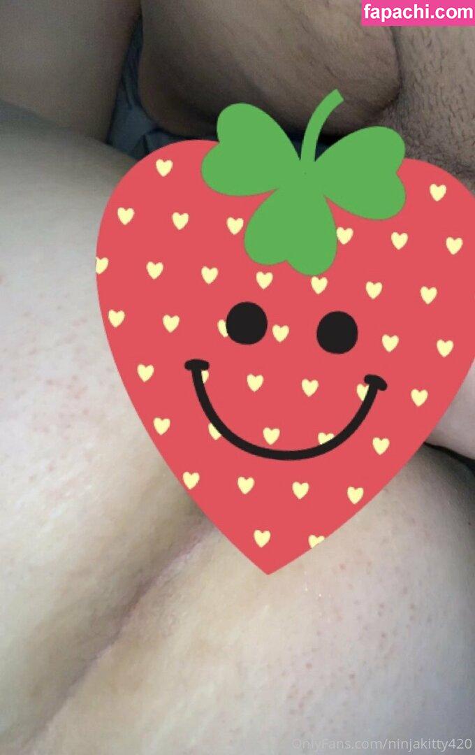 ninjakitty420 / chronickitty420 leaked nude photo #0048 from OnlyFans/Patreon