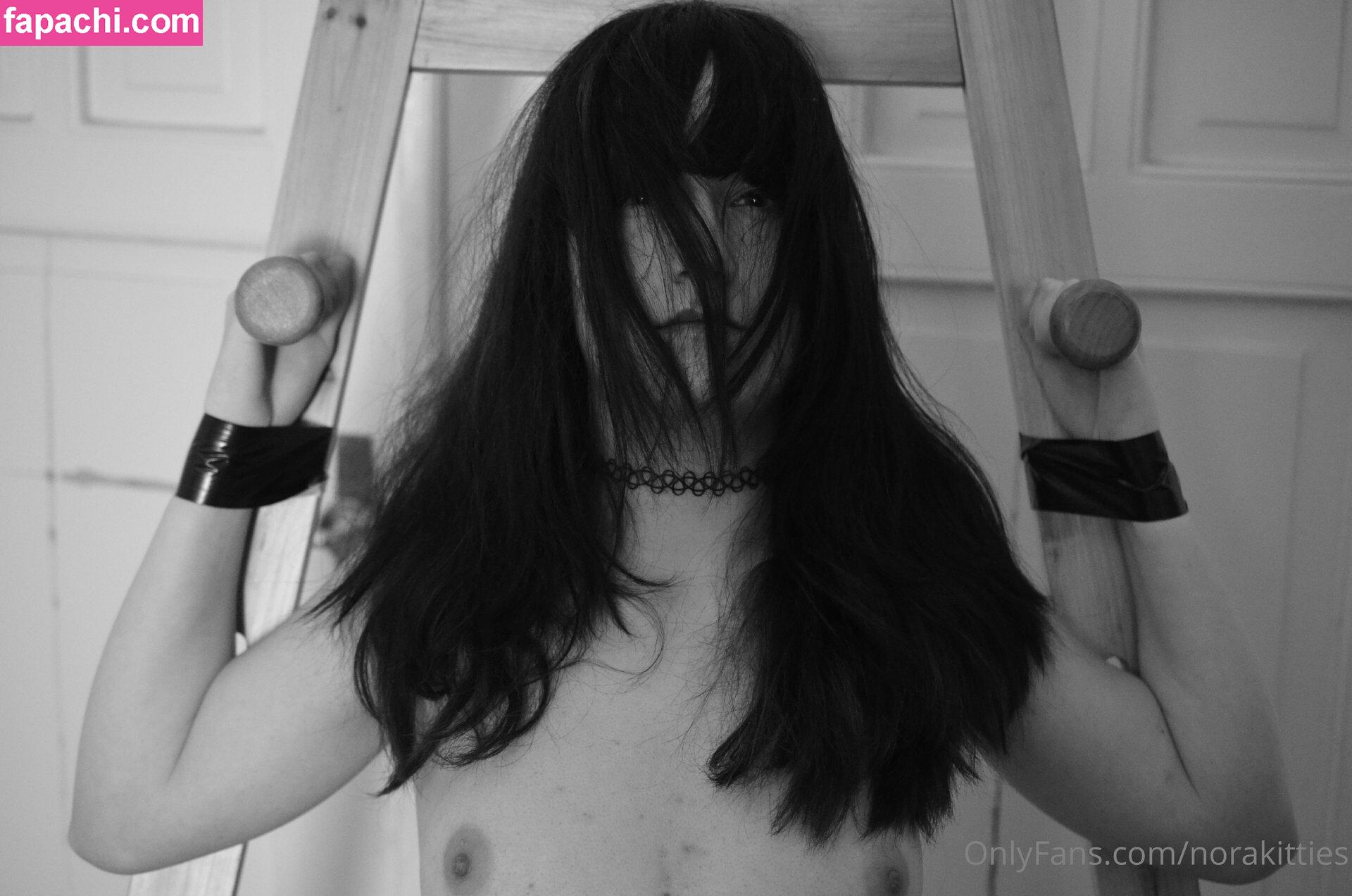 norakitties leaked nude photo #0010 from OnlyFans/Patreon