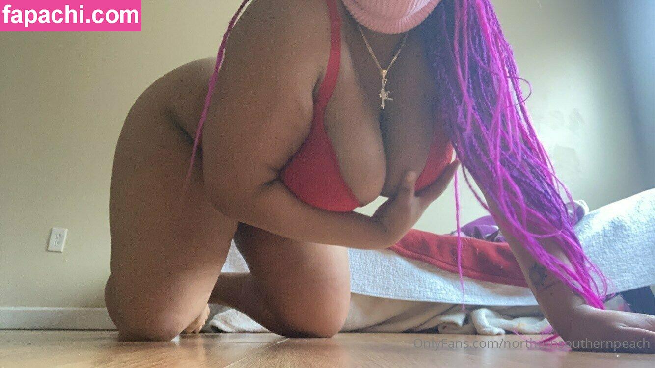 northernsouthernpeach / northernsouthern leaked nude photo #0031 from OnlyFans/Patreon