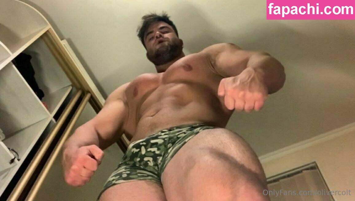 olivercolt / theolivercolt leaked nude photo #0079 from OnlyFans/Patreon