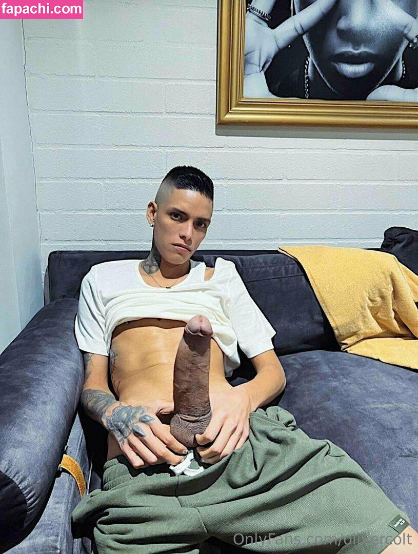 olivercolt / theolivercolt leaked nude photo #0161 from OnlyFans/Patreon