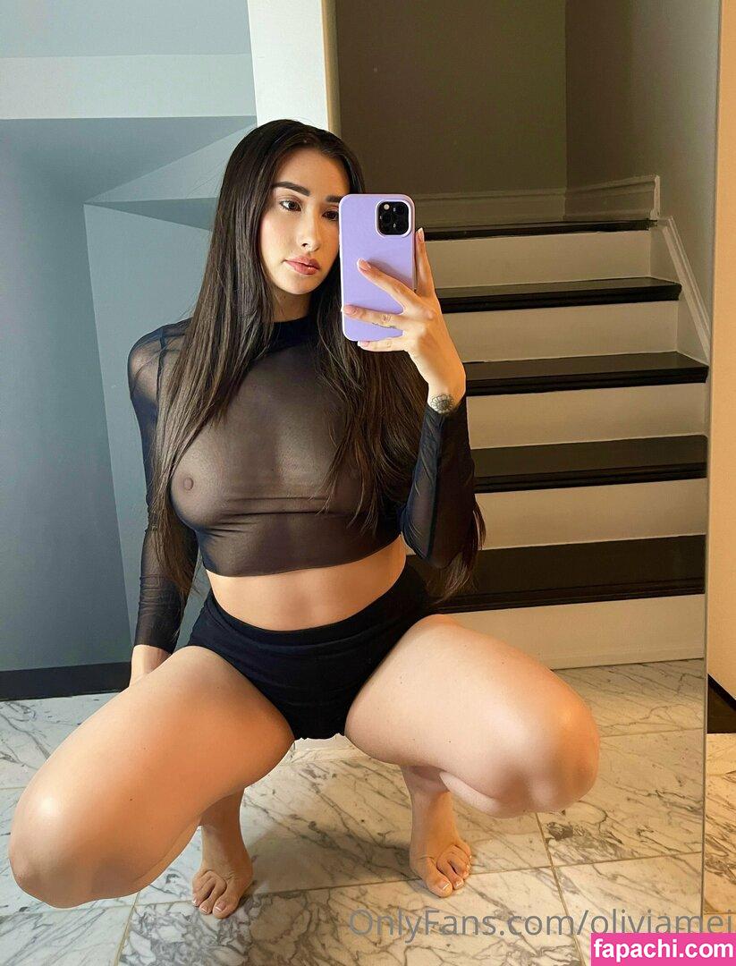 oliviamei / oliviamaebae leaked nude photo #0228 from OnlyFans/Patreon