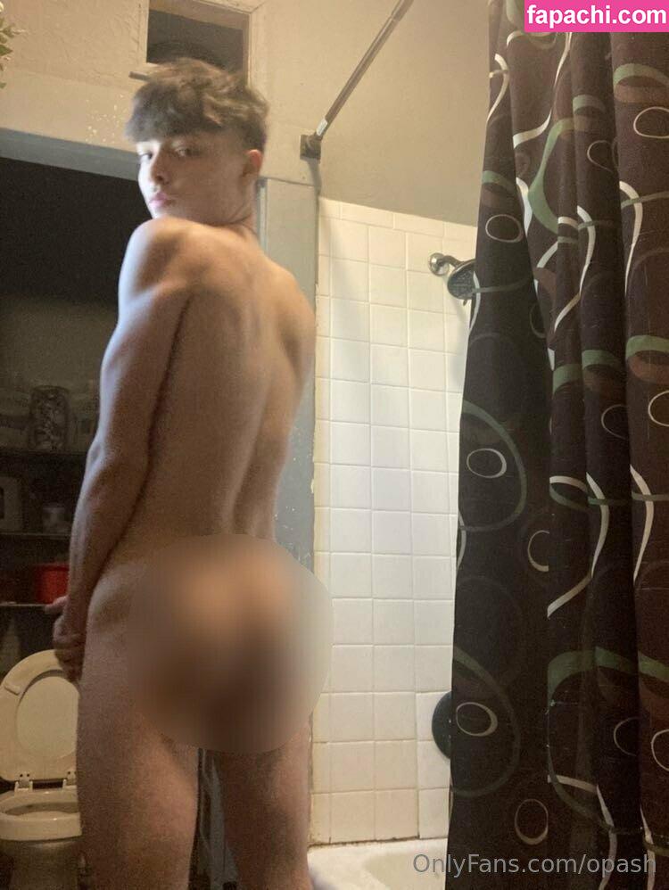 opash leaked nude photo #0105 from OnlyFans/Patreon