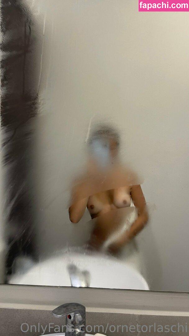 ornetorlaschi / hugmeorne leaked nude photo #0022 from OnlyFans/Patreon