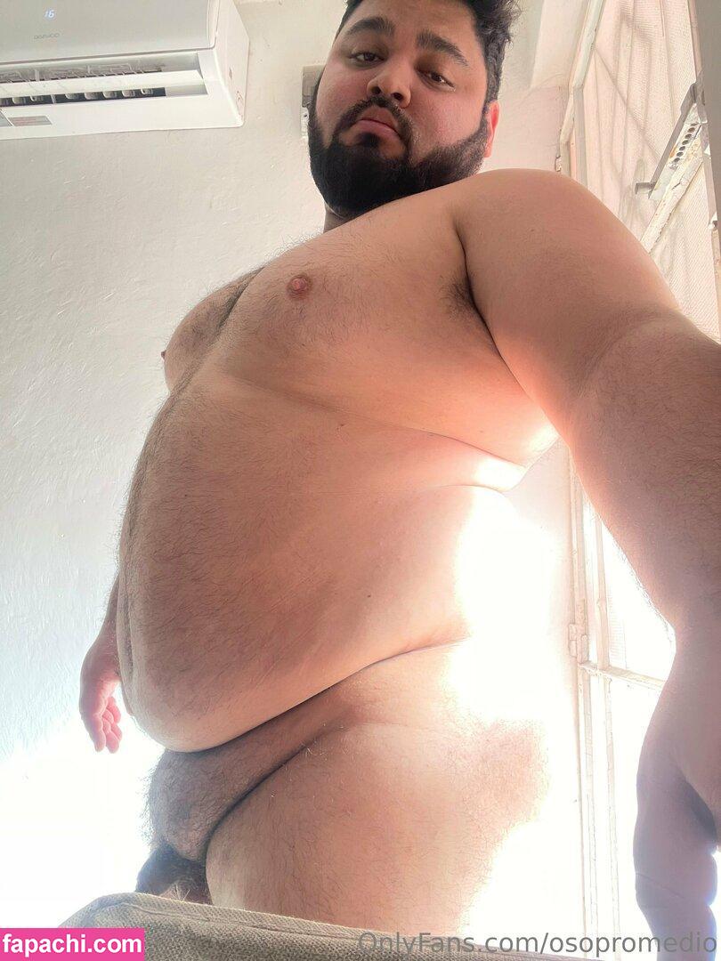 osopromedio / ovopromise leaked nude photo #0006 from OnlyFans/Patreon