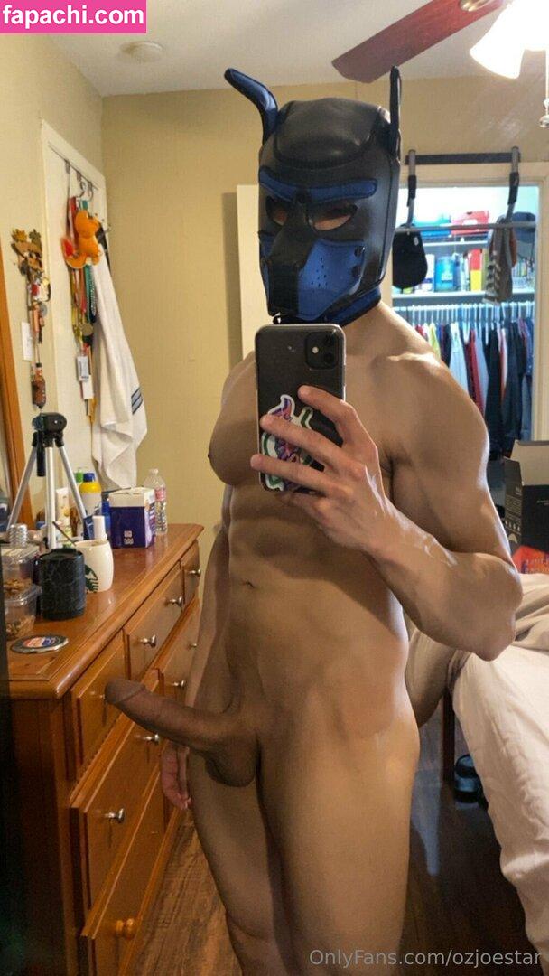 ozjoestar / ozzyjoestar leaked nude photo #0144 from OnlyFans/Patreon