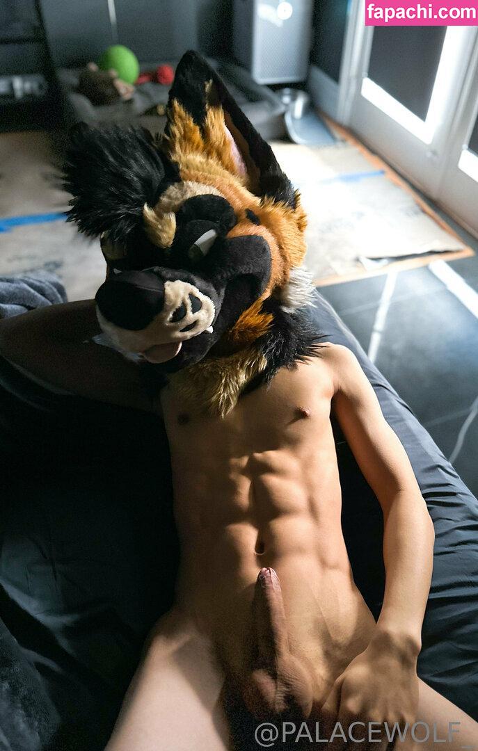 palacewolf / palacewolfent leaked nude photo #0019 from OnlyFans/Patreon