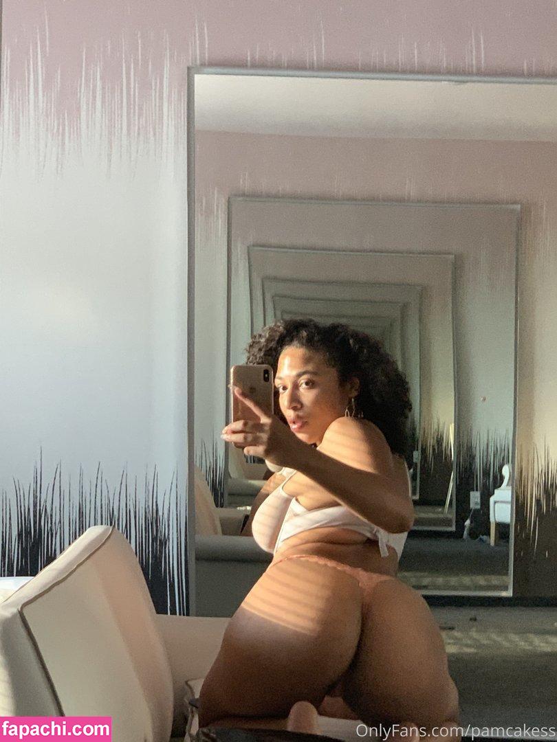 Pamcakess leaked nude photo #0025 from OnlyFans/Patreon