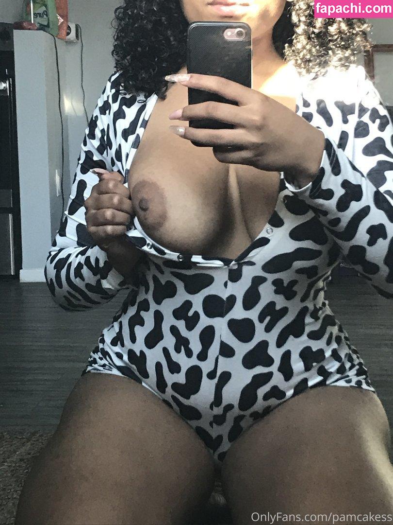Pamcakess leaked nude photo #0038 from OnlyFans/Patreon