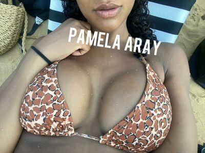 Pamela Aray leaked media #0072