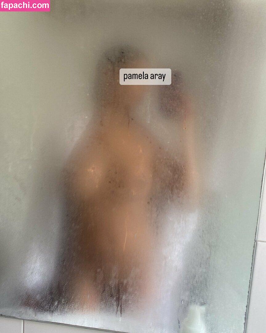 Pamela Aray / miss.pame22 / miss_pame22 / misspame22 leaked nude photo #0006 from OnlyFans/Patreon