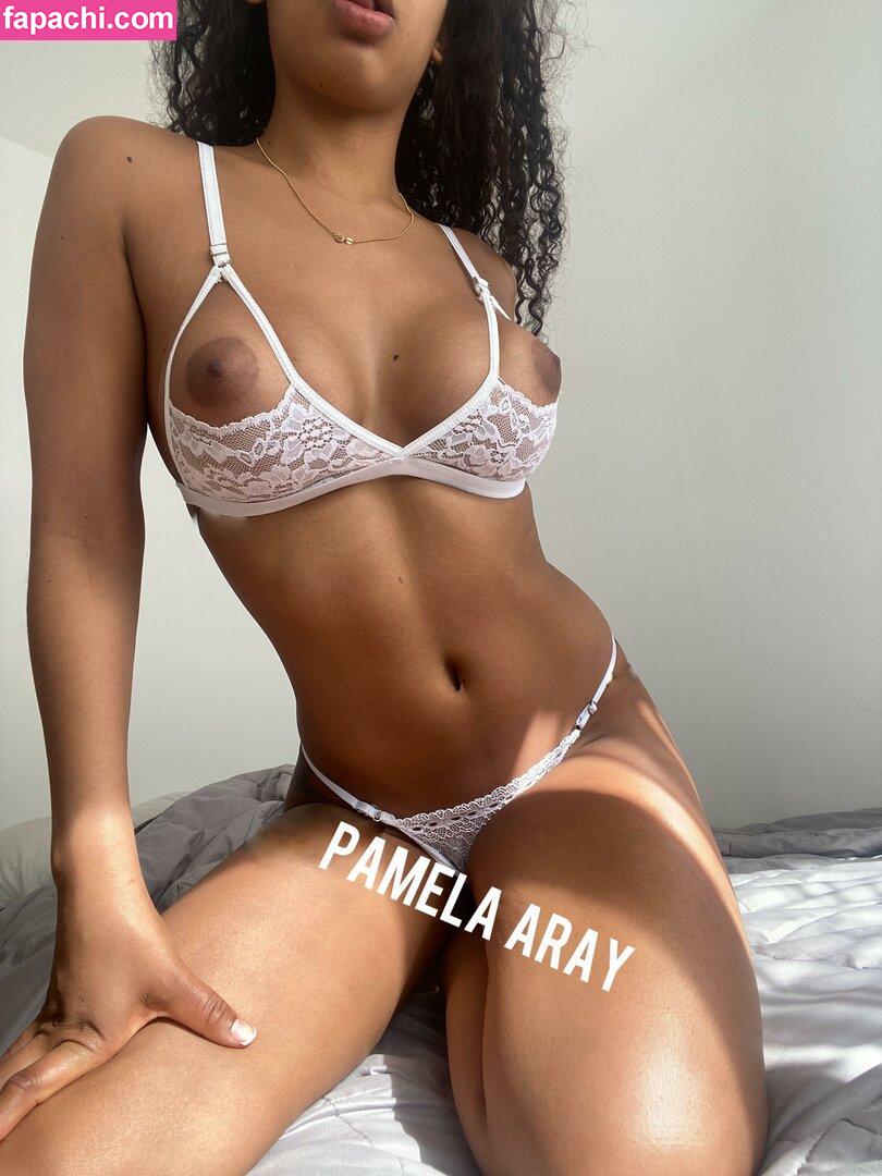 Pamela Aray / miss.pame22 / miss_pame22 / misspame22 leaked nude photo #0045 from OnlyFans/Patreon