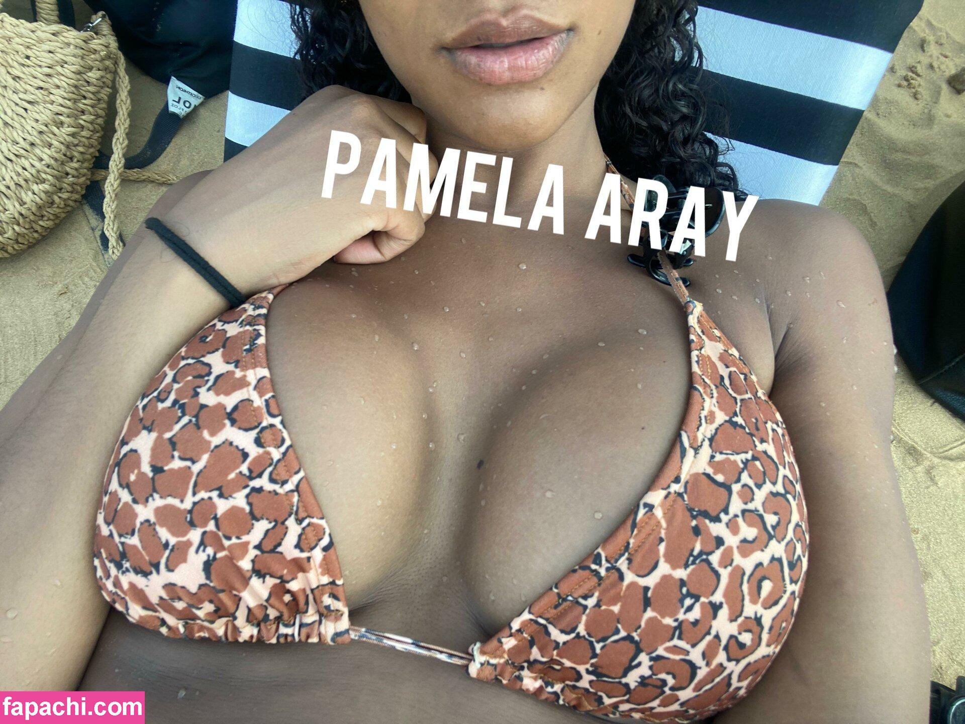 Pamela Aray / miss.pame22 / miss_pame22 / misspame22 leaked nude photo #0072 from OnlyFans/Patreon