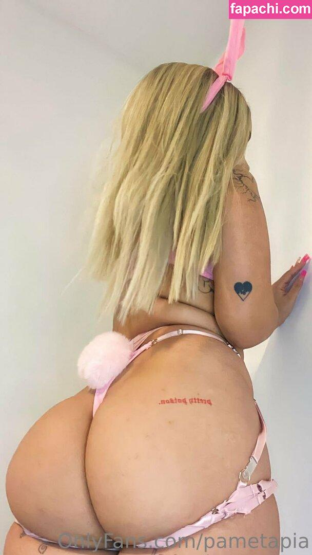 Pametapia leaked nude photo #0003 from OnlyFans/Patreon