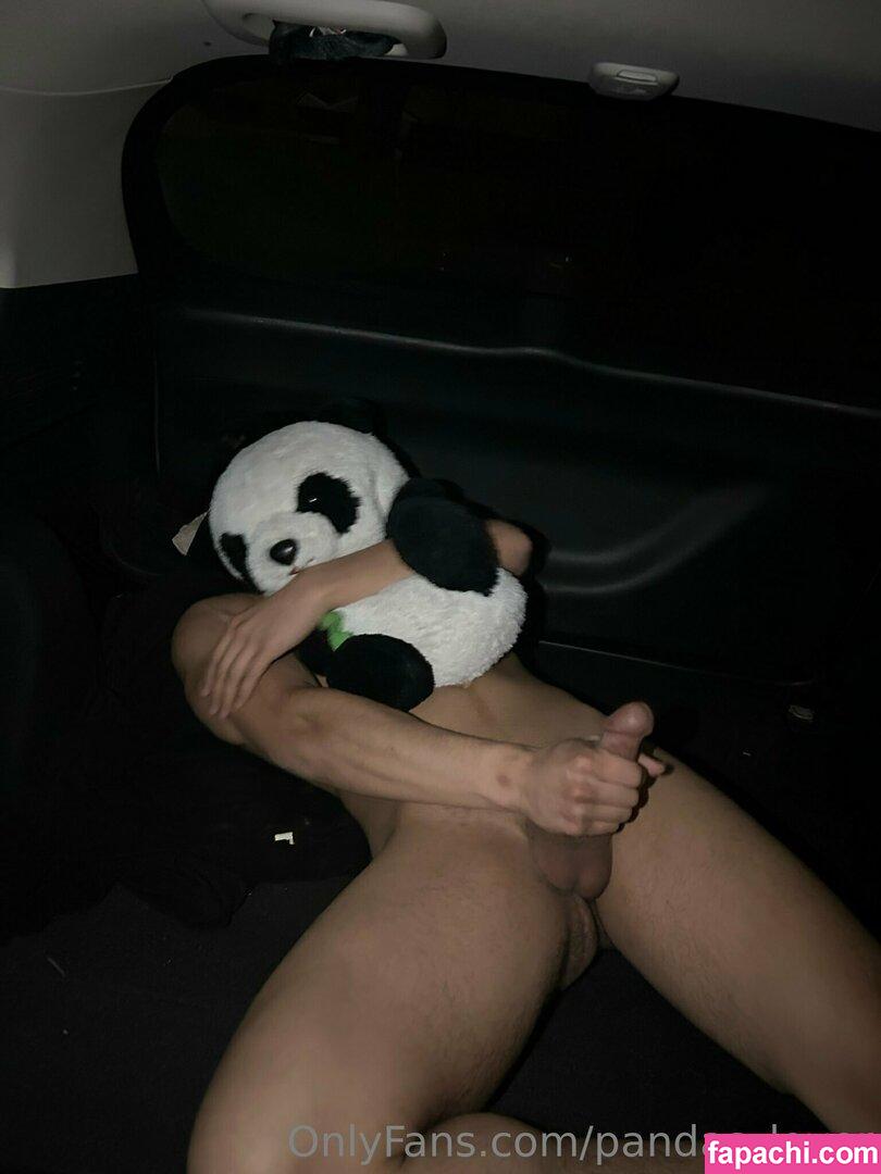 pandas_lover leaked nude photo #0063 from OnlyFans/Patreon