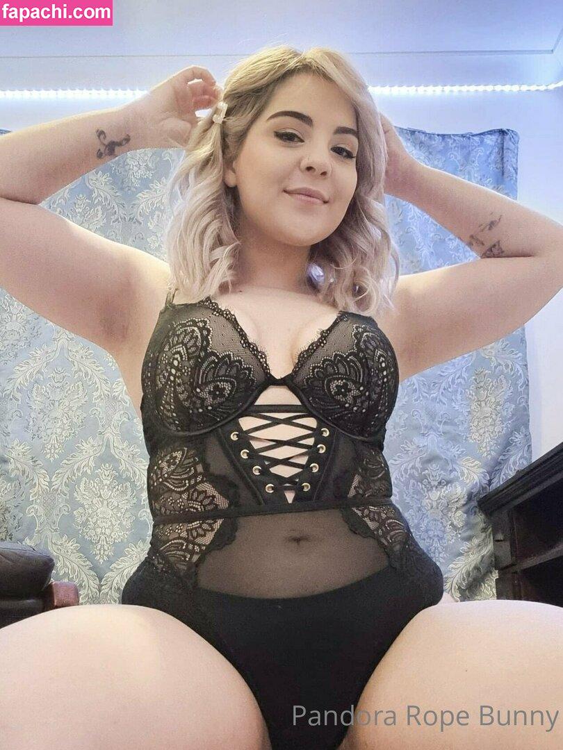 pandorabunny leaked nude photo #0073 from OnlyFans/Patreon