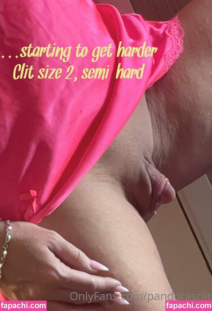 Pandorasclit / Cyberxenial / clitpandoras leaked nude photo #0073 from OnlyFans/Patreon