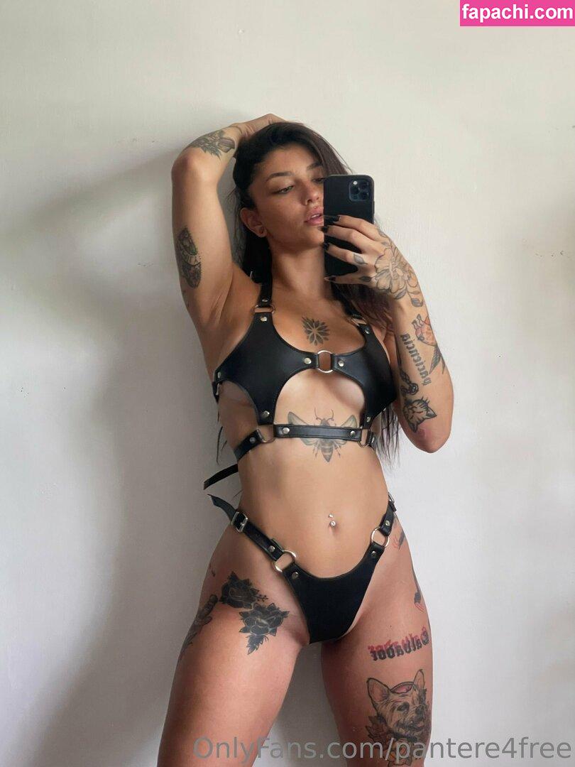 pantere4free / p_a_n_t_e_r_r_a__ leaked nude photo #0010 from OnlyFans/Patreon