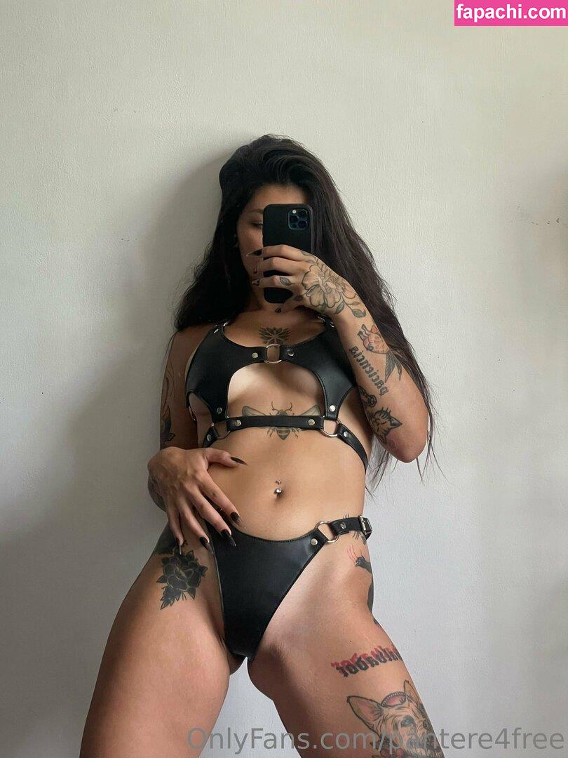 pantere4free / p_a_n_t_e_r_r_a__ leaked nude photo #0011 from OnlyFans/Patreon