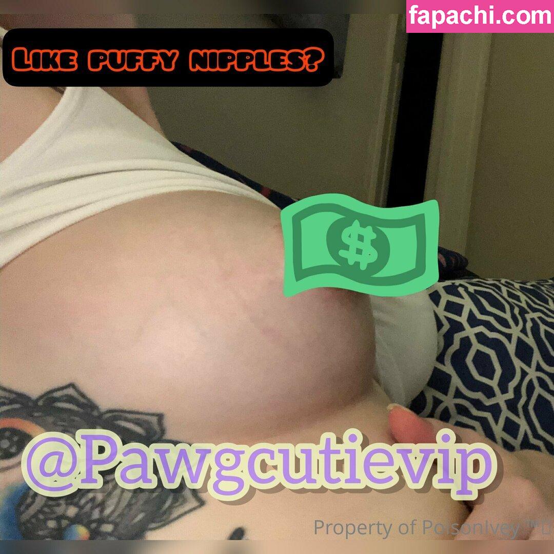 pawgcutie1 / cutie_pawgs leaked nude photo #0020 from OnlyFans/Patreon