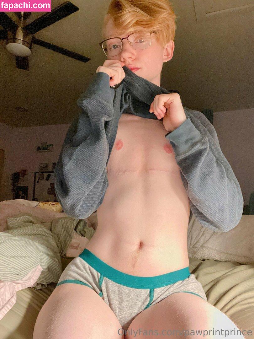 Pawprintprince / Luca Adler / Peachyypups / pawprinceph leaked nude photo #0149 from OnlyFans/Patreon