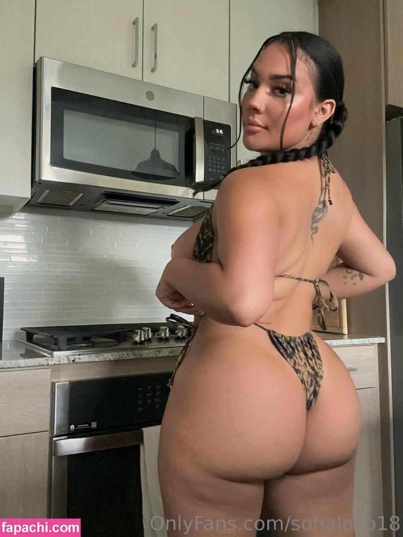 Paymedaddy-21 / Sofyloco / sofiaisloco / soflocovip leaked nude photo #0006 from OnlyFans/Patreon