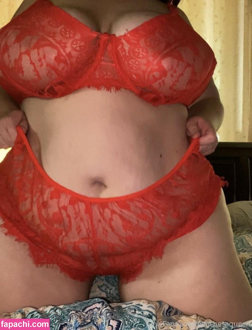 peachesaqueen / peachesnisker leaked nude photo #0061 from OnlyFans/Patreon