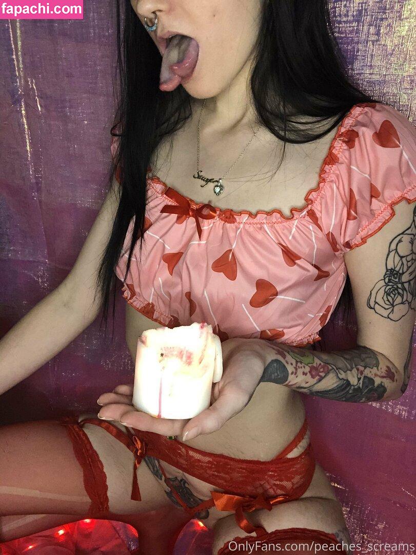 peacheyscreams / peachusncream leaked nude photo #0017 from OnlyFans/Patreon