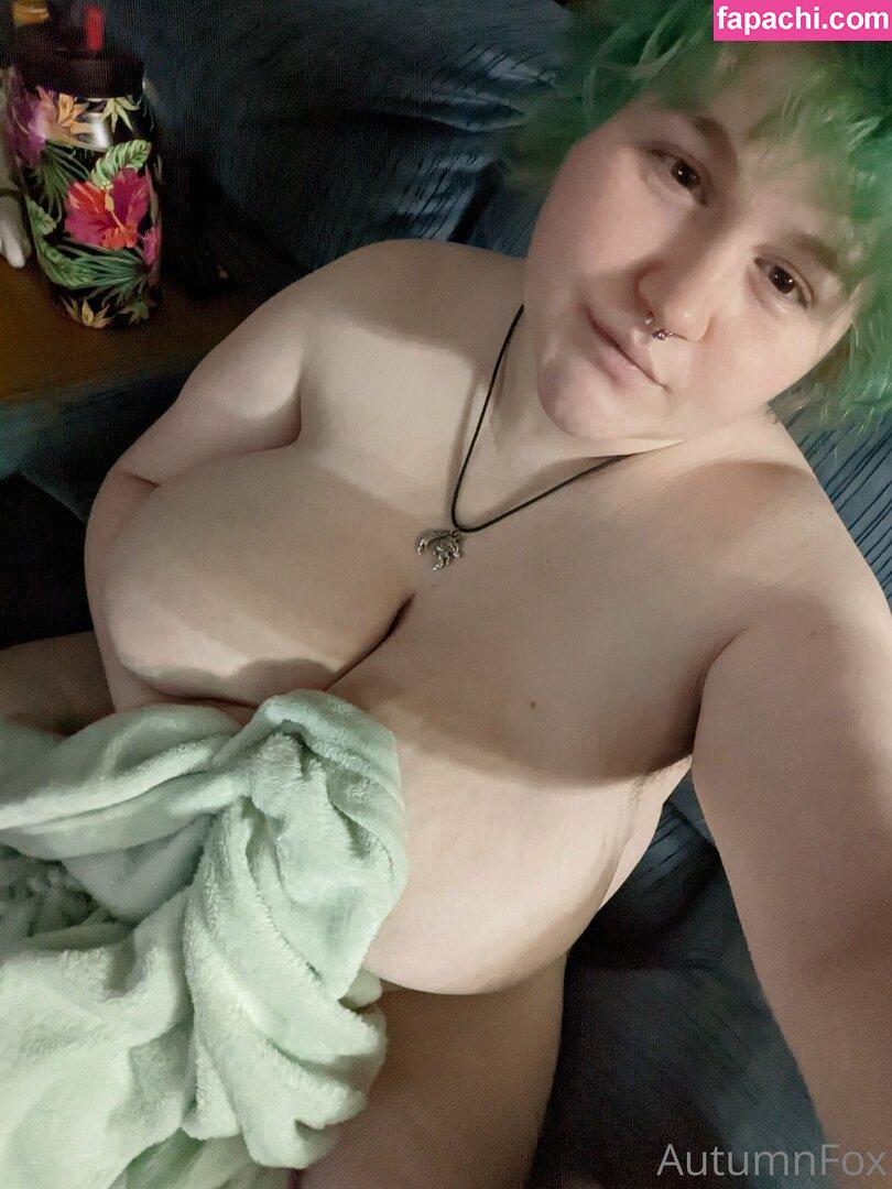 perkyfox leaked nude photo #0010 from OnlyFans/Patreon