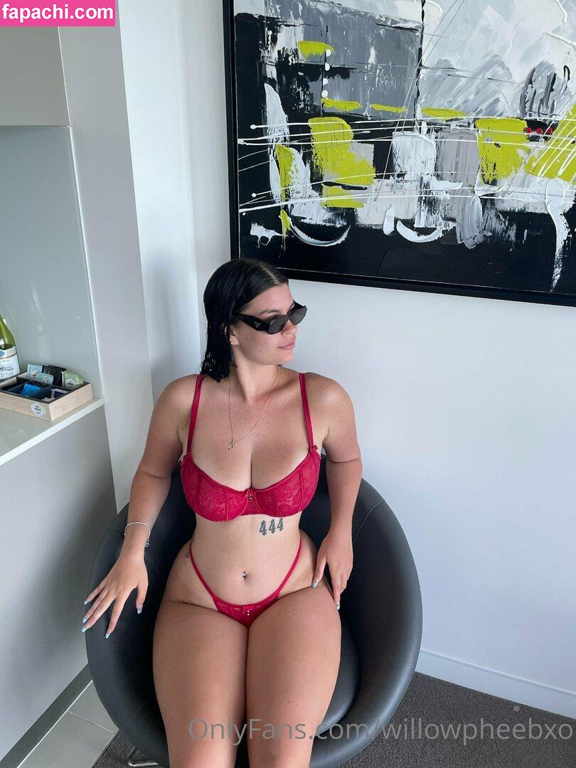 Phoebewillow / misswillow1 / phoebe.willow leaked nude photo #0019 from OnlyFans/Patreon