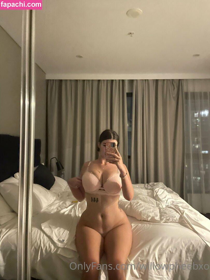 Phoebewillow / misswillow1 / phoebe.willow leaked nude photo #0031 from OnlyFans/Patreon