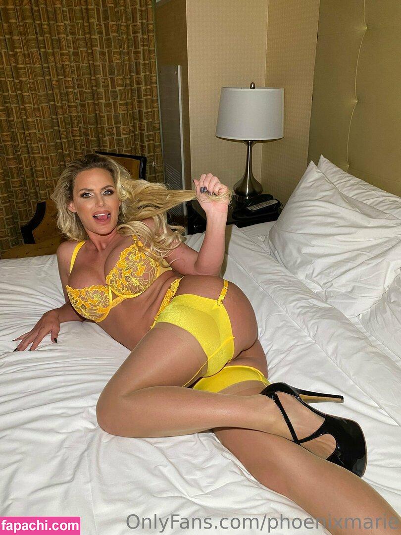 phoenixmarie / pmarizzle leaked nude photo #0196 from OnlyFans/Patreon