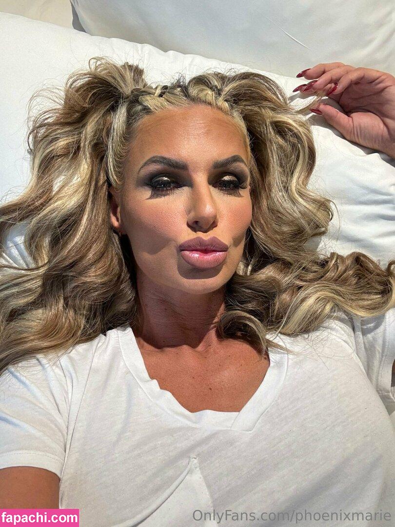 phoenixmarie / pmarizzle leaked nude photo #0273 from OnlyFans/Patreon