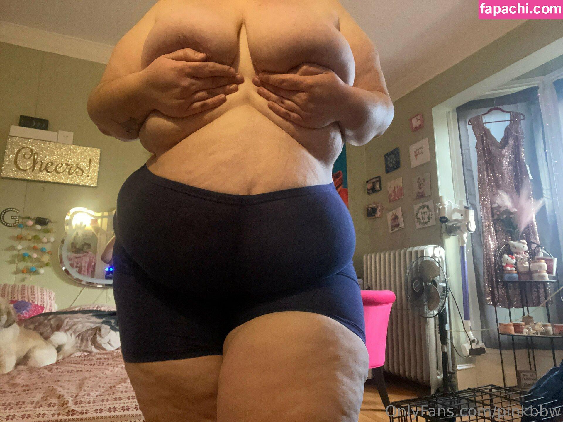 pinkbbw leaked nude photo #0007 from OnlyFans/Patreon