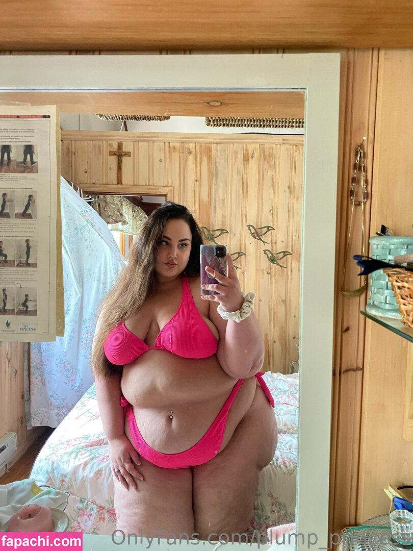 plump_princess leaked nude photo #0114 from OnlyFans/Patreon