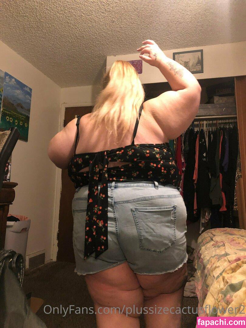 plussizecactusflower2 / fb_0296 leaked nude photo #0010 from OnlyFans/Patreon
