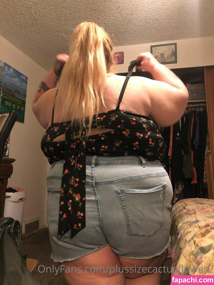 plussizecactusflower2 / fb_0296 leaked nude photo #0011 from OnlyFans/Patreon