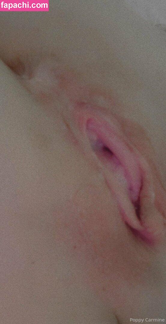 poppycarminexxx leaked nude photo #0737 from OnlyFans/Patreon