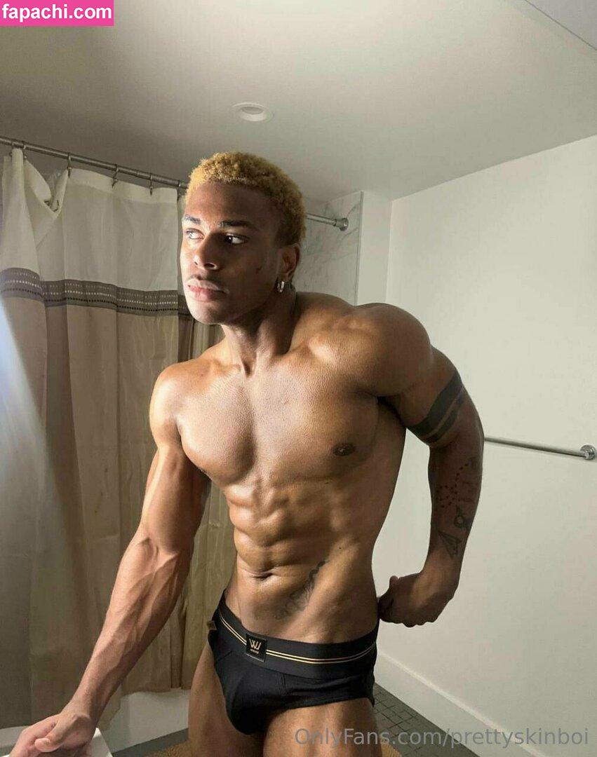 prettyskinboi leaked nude photo #0132 from OnlyFans/Patreon