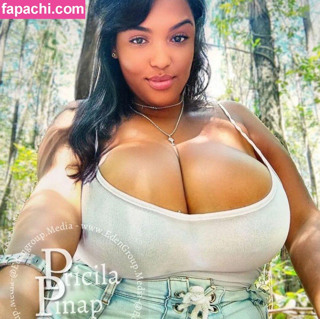 Pricila Pinap / pricilapinap leaked nude photo #0025 from OnlyFans/Patreon