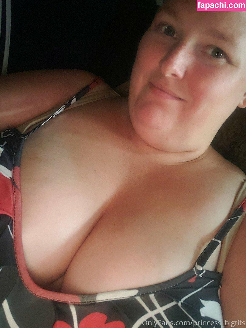 Princess Big Tits / princess_bigtits leaked nude photo #0035 from OnlyFans/Patreon