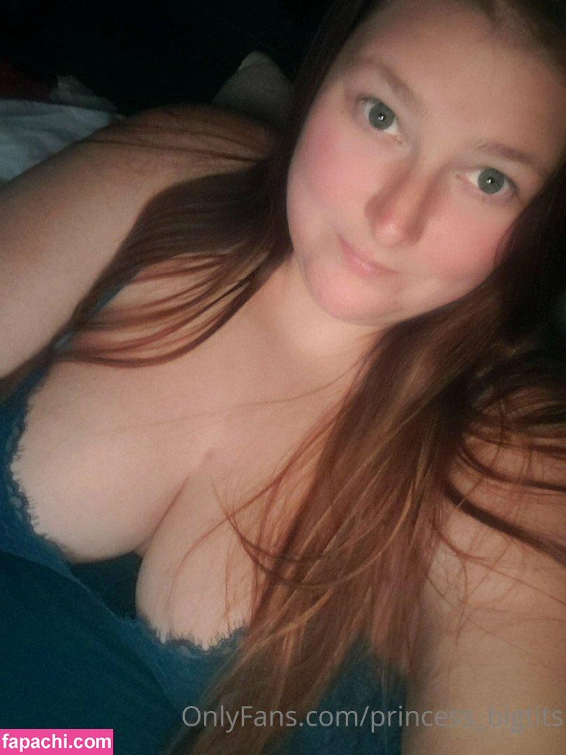 Princess Big Tits / princess_bigtits leaked nude photo #0061 from OnlyFans/Patreon