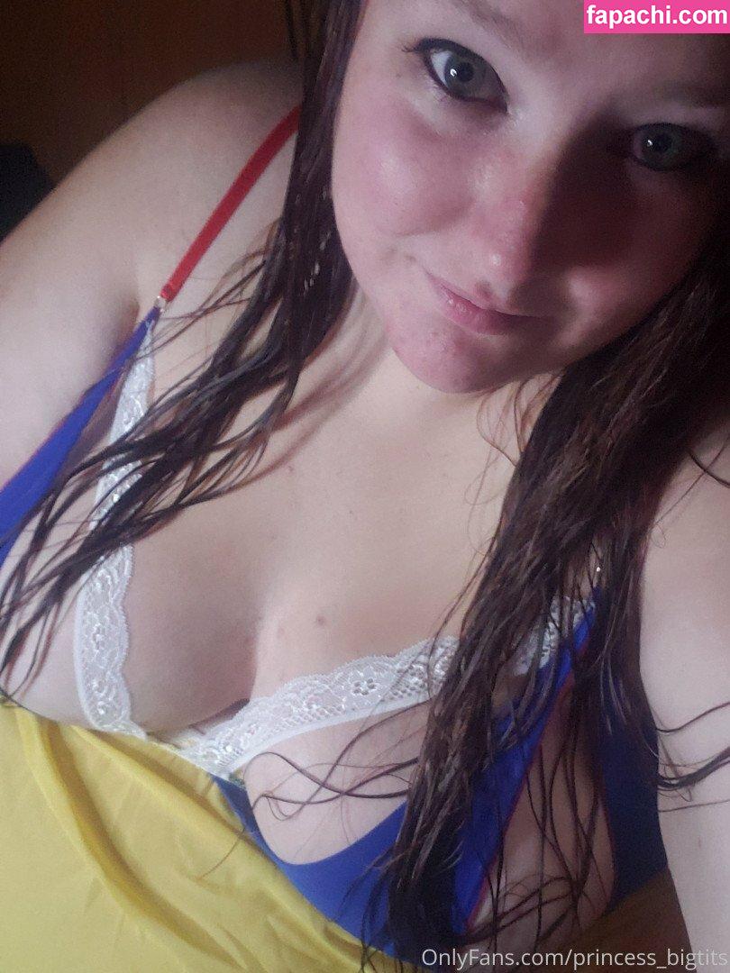 Princess Big Tits / princess_bigtits leaked nude photo #0103 from OnlyFans/Patreon