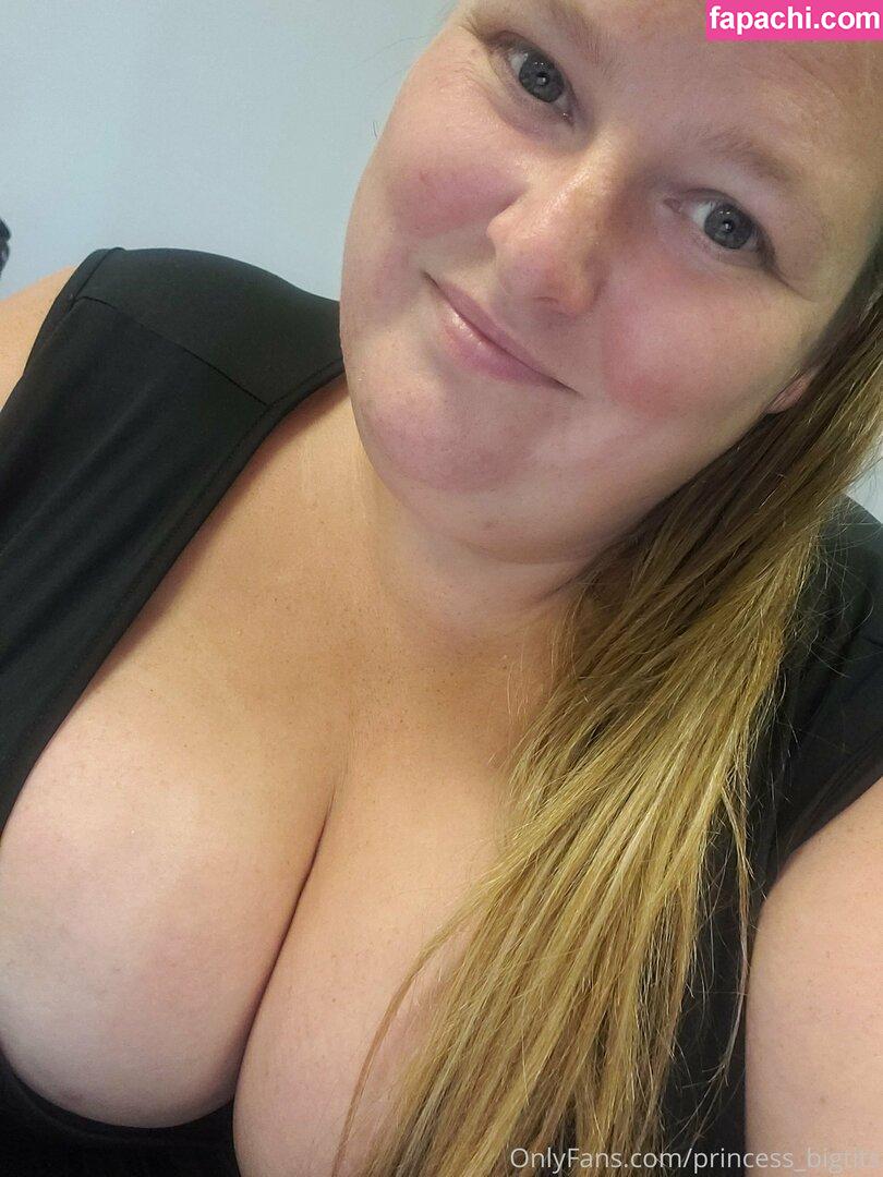 princess_bigtits leaked nude photo #0100 from OnlyFans/Patreon