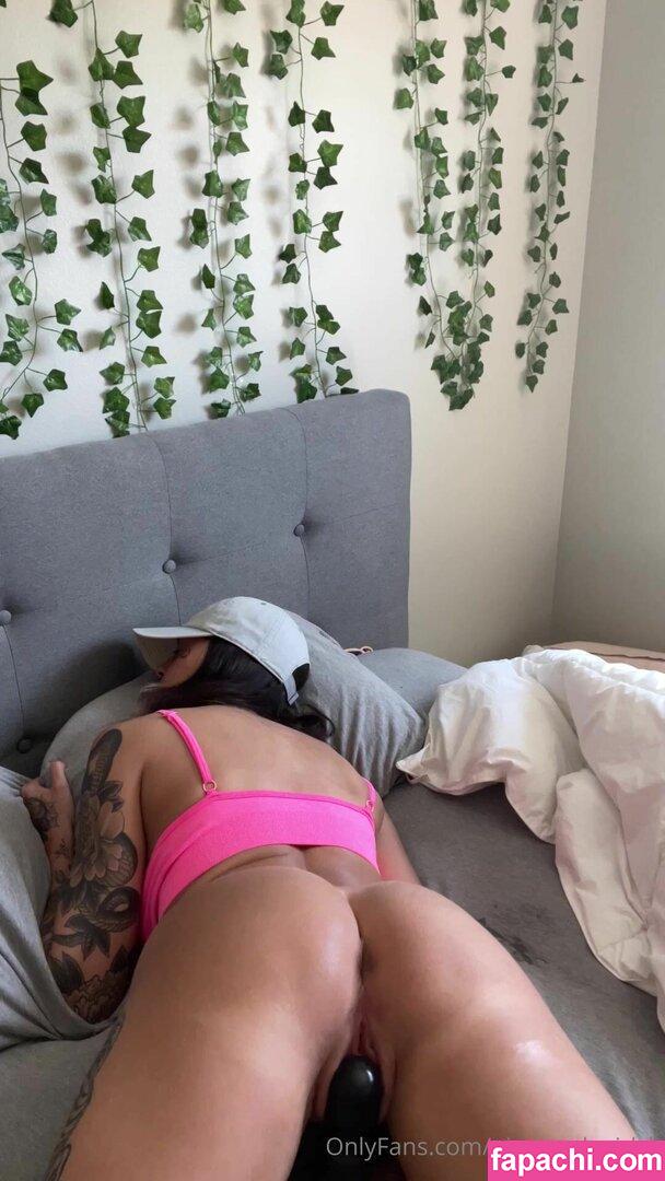 Princess Shawna / pineapplegirlsh / princessshawna69 leaked nude photo #0016 from OnlyFans/Patreon