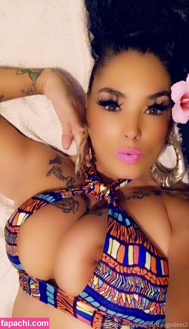 puertoricangodess2 / theepuertoricangoddess leaked nude photo #0072 from OnlyFans/Patreon