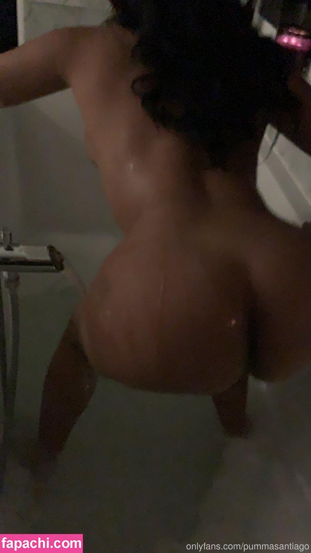 Pumma Santiago / pumma.santiago / pummasantiago leaked nude photo #0079 from OnlyFans/Patreon