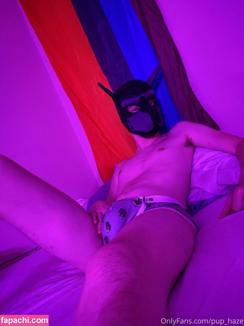 pup_haze leaked nude photo #0028 from OnlyFans/Patreon